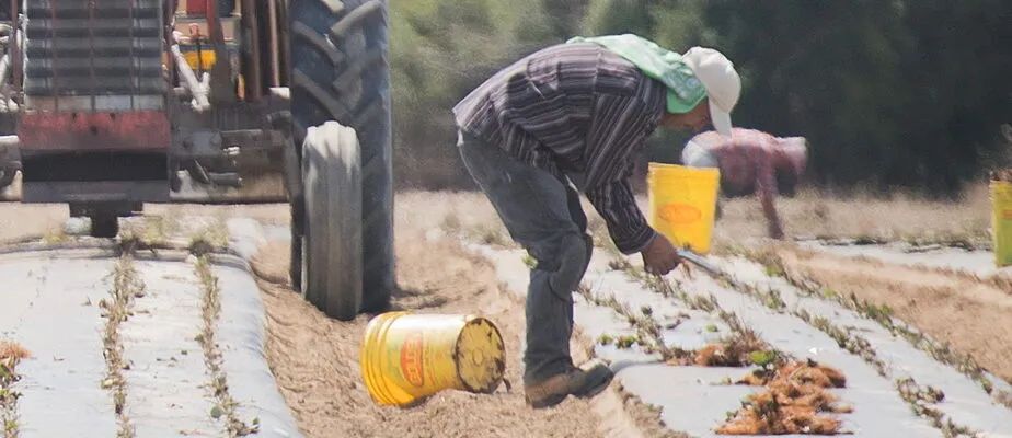 加拿大移民_移民加拿大需要花多少钱_移民加拿大需要哪些条件和费用