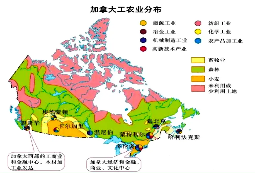 温尼伯_温尼伯在加拿大哪个省_温尼伯天气