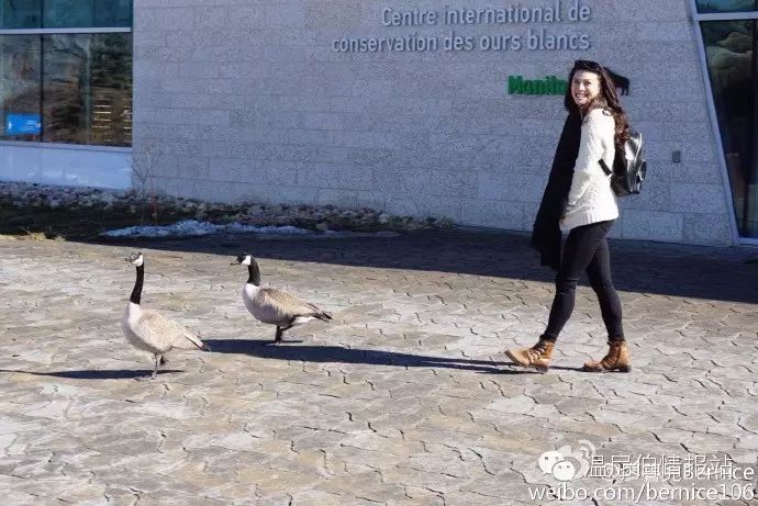 温尼伯_温尼伯大学_温尼伯当地时间