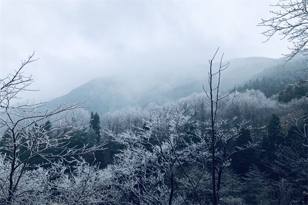 曼省移民_曼省移民政策_曼省移民弊端